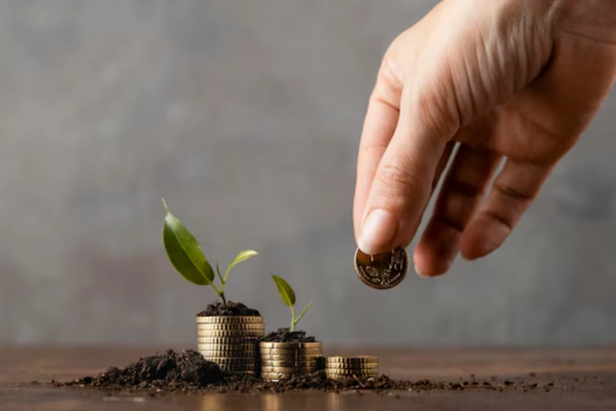 What are Mutual Funds